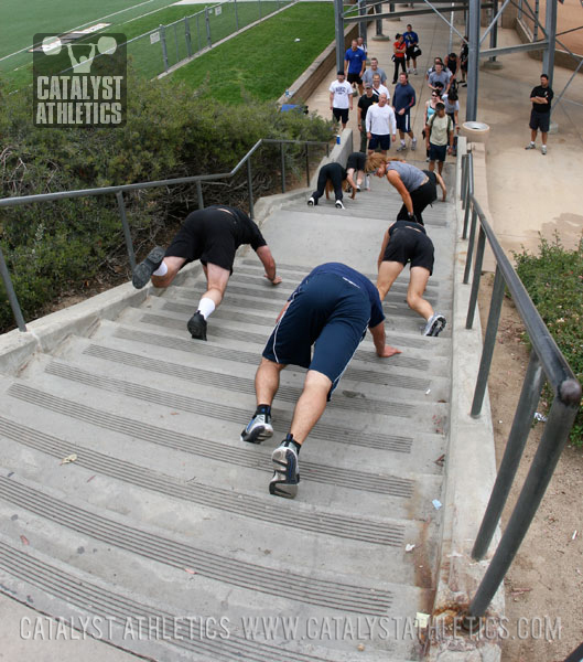 Backward bear crawl upstairs - Olympic Weightlifting, strength, conditioning, fitness, nutrition - Catalyst Athletics 